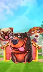 The Dog House